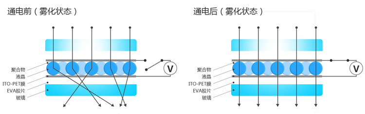 pro-yl2.jpg